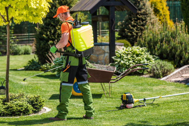 Best Lawn Pest Control  in Carmel, IN